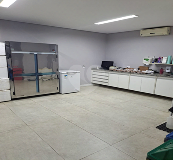 Foto REO1133731