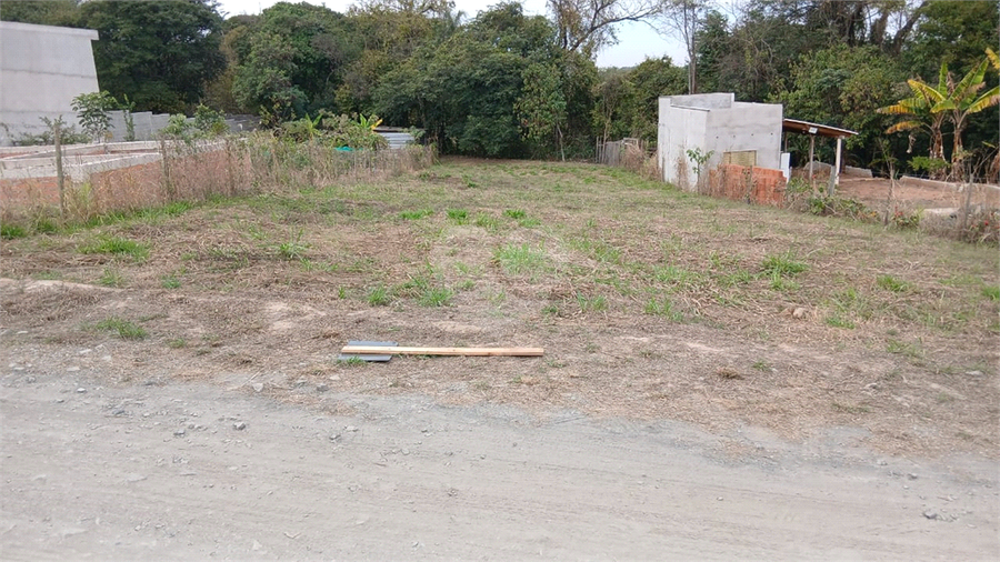 Foto REO1133750
