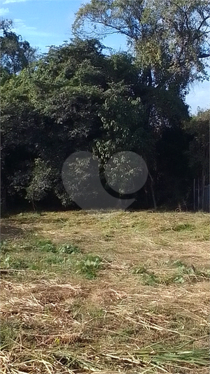 Foto REO1133750