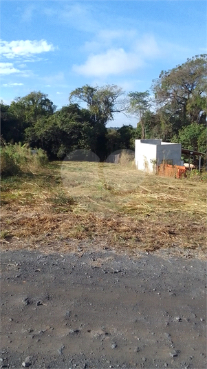 Foto REO1133750