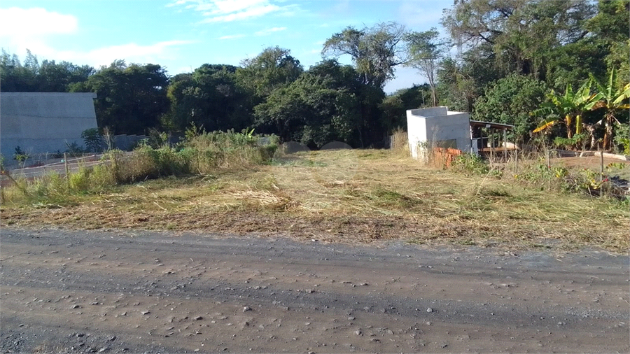 Foto REO1133750