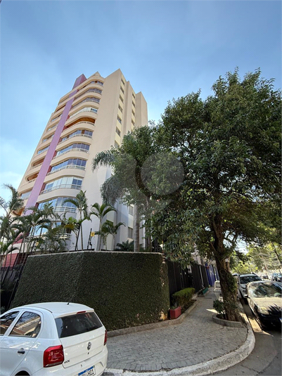 Foto REO1133759