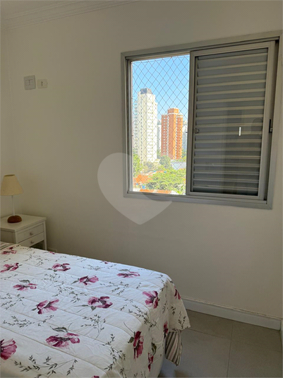 Foto REO1133759