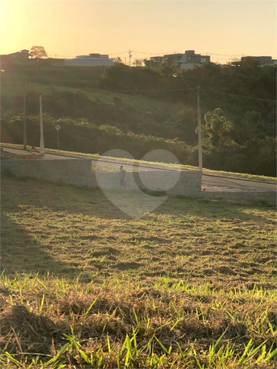 Foto REO1133766