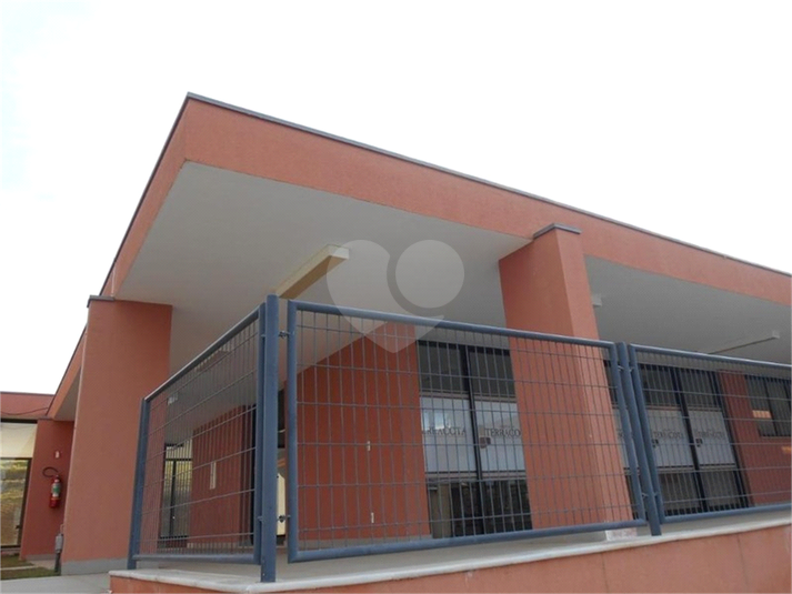 Foto REO1133766