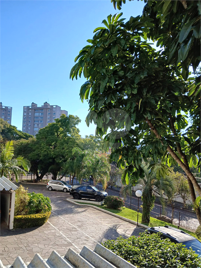 Foto REO1133770