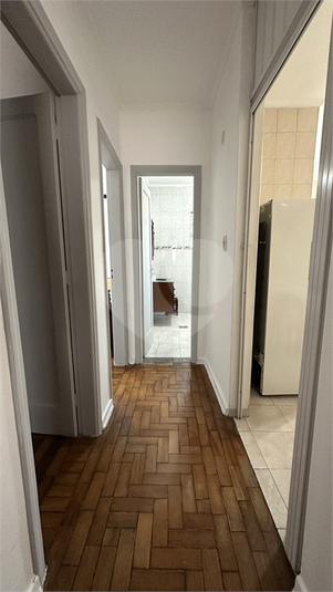Foto REO1133771