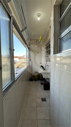 Foto REO1133771