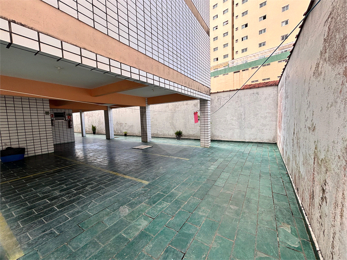 Foto REO1133772