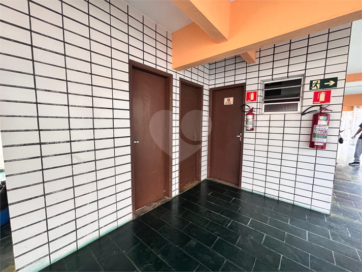 Foto REO1133772