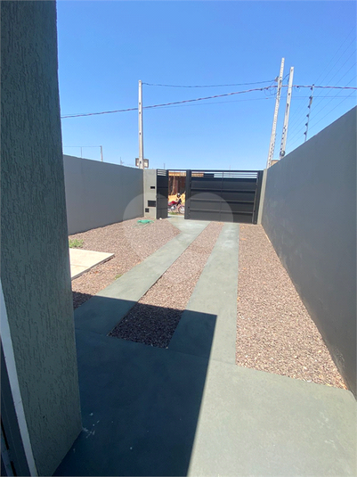 Foto REO1133777