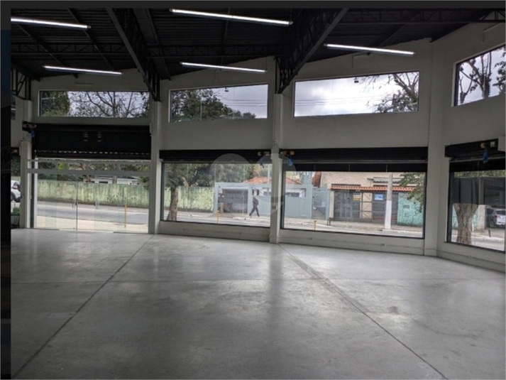 Foto REO1133785