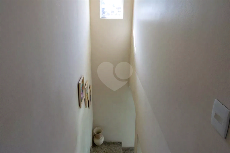 Foto REO1133792