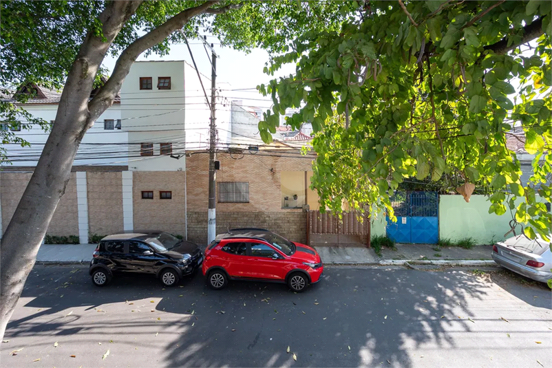 Foto REO1133792