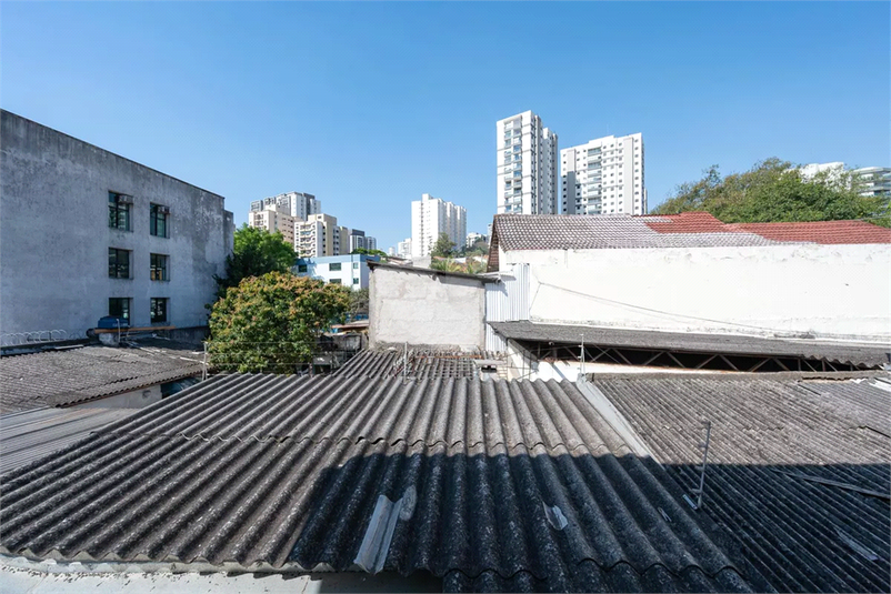 Foto REO1133792