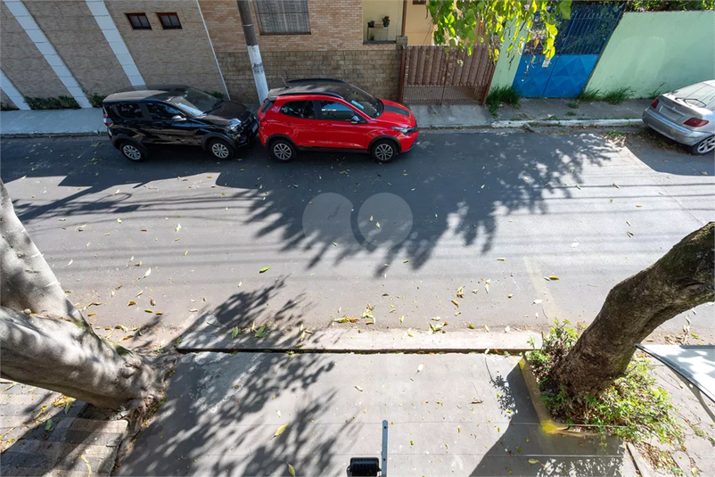 Foto REO1133792