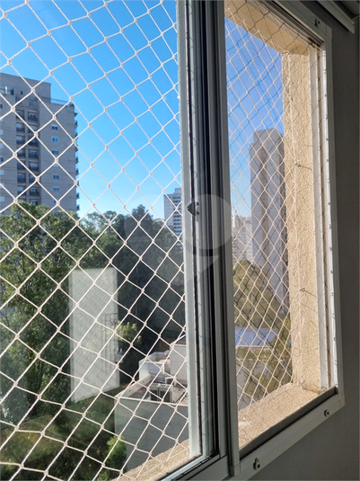 Foto REO1133793