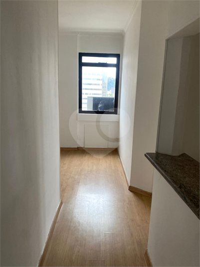 Foto REO1133803