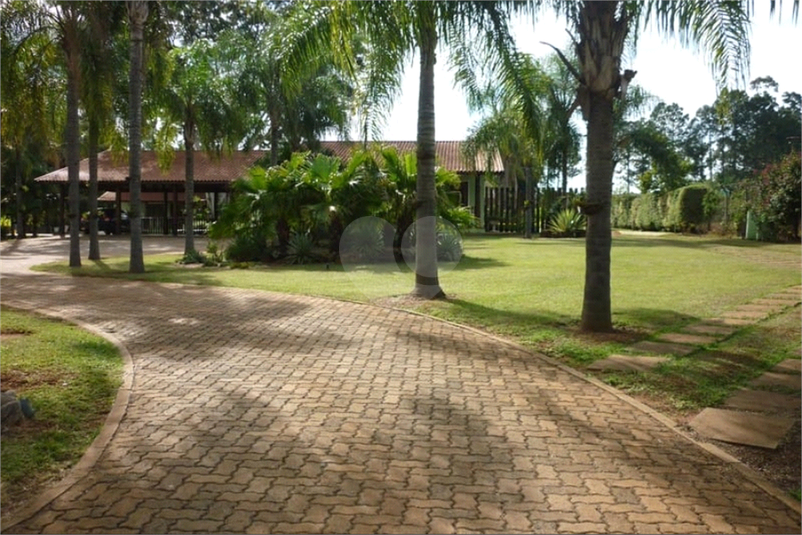 Foto REO1133806
