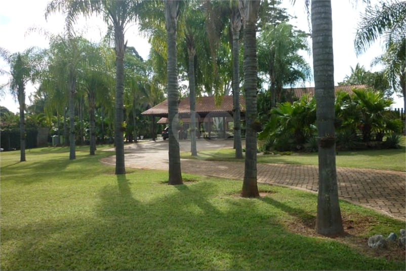 Foto REO1133806