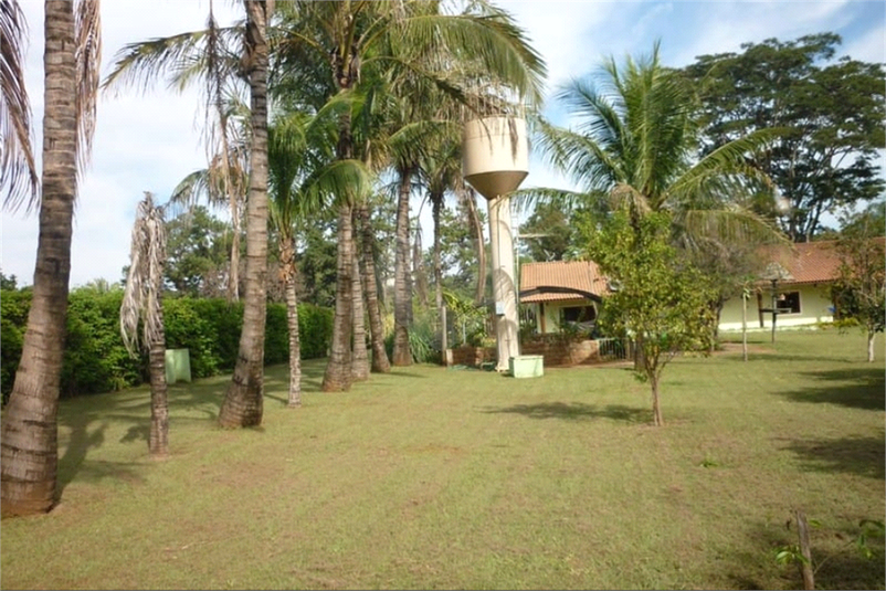 Foto REO1133806