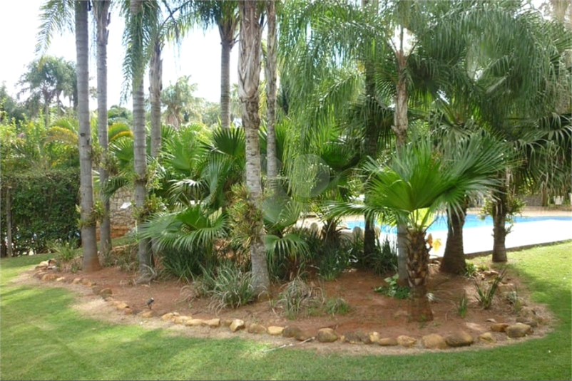 Foto REO1133806