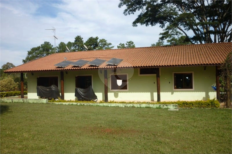Foto REO1133806