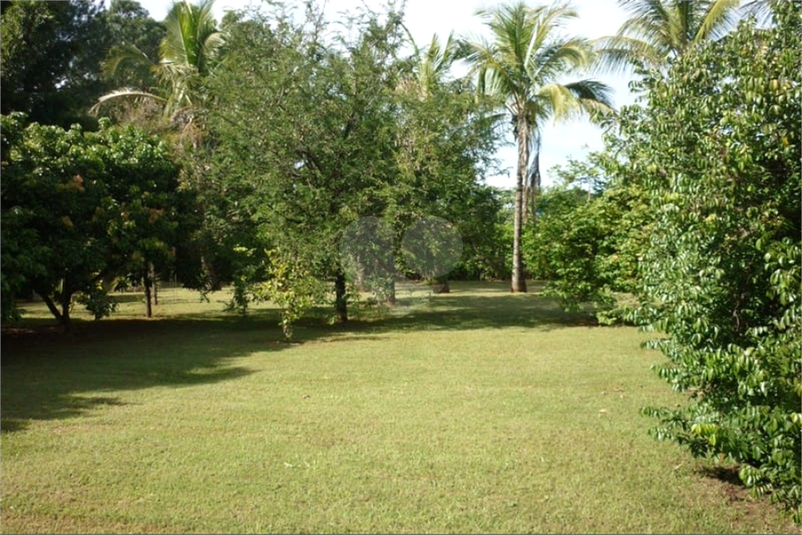 Foto REO1133806