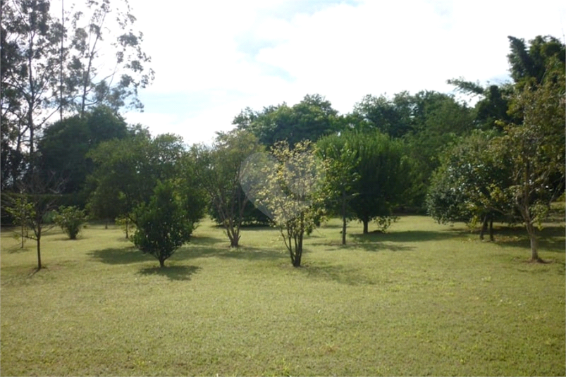Foto REO1133806