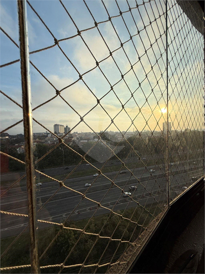 Foto REO1133808