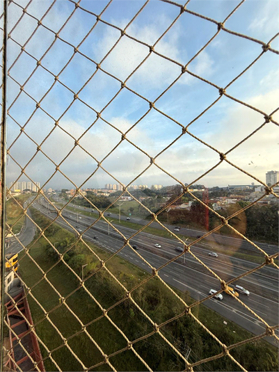 Foto REO1133808