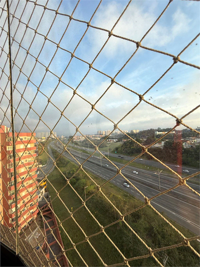 Foto REO1133808