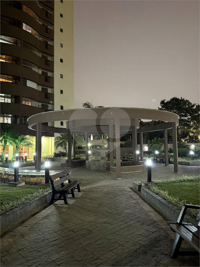 Foto REO1133808