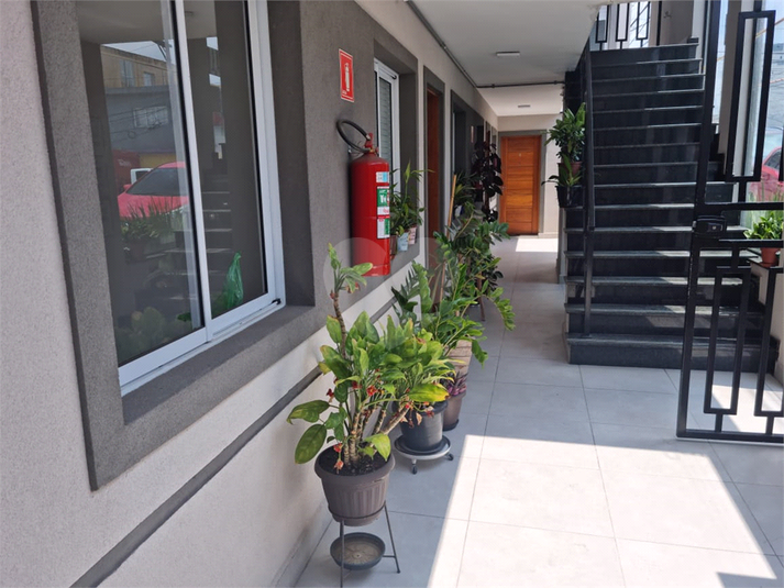 Foto REO1133812