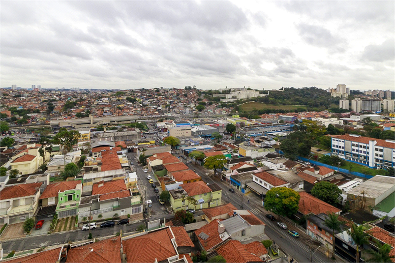 Foto REO1133817