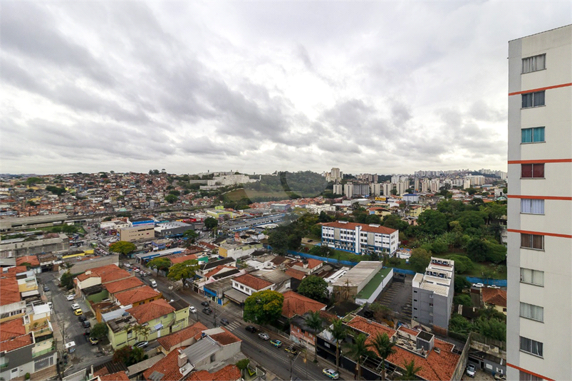 Foto REO1133817