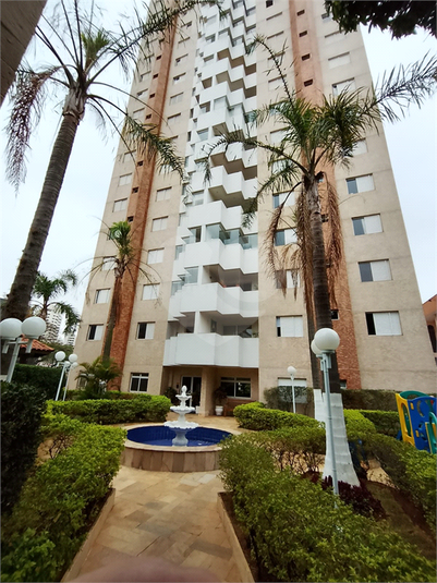 Foto REO1133818