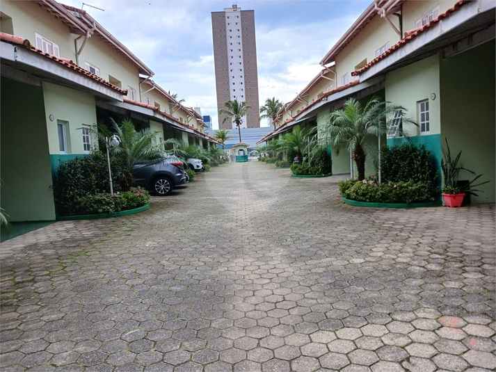 Foto REO1133828