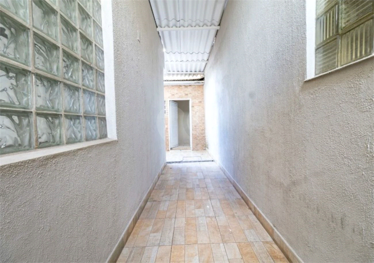 Foto REO1133831