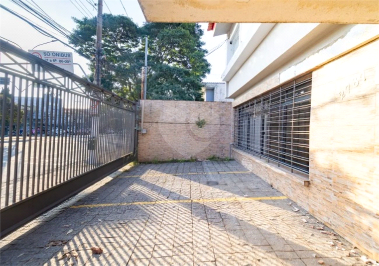 Foto REO1133831
