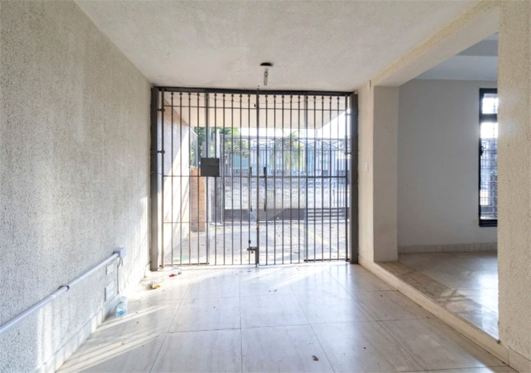 Foto REO1133831
