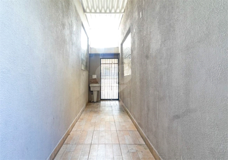 Foto REO1133831