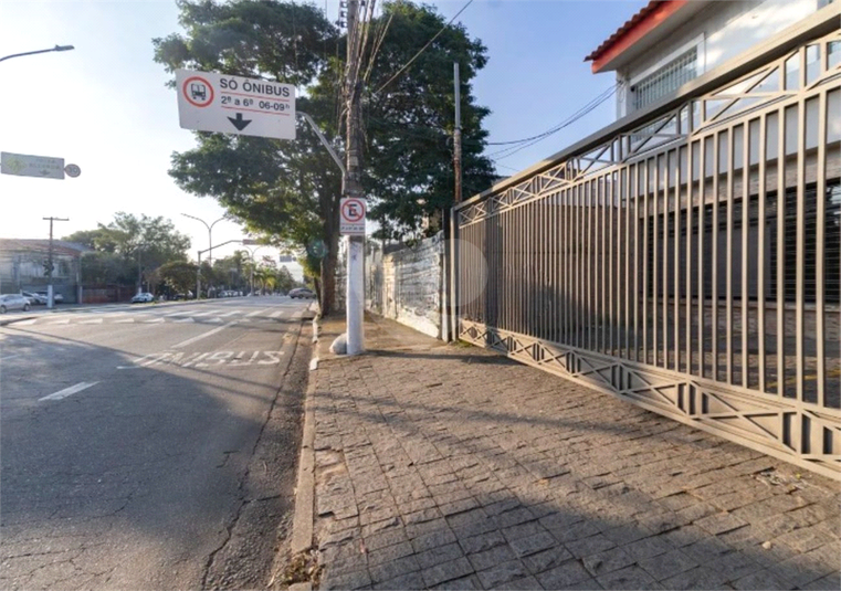 Foto REO1133831