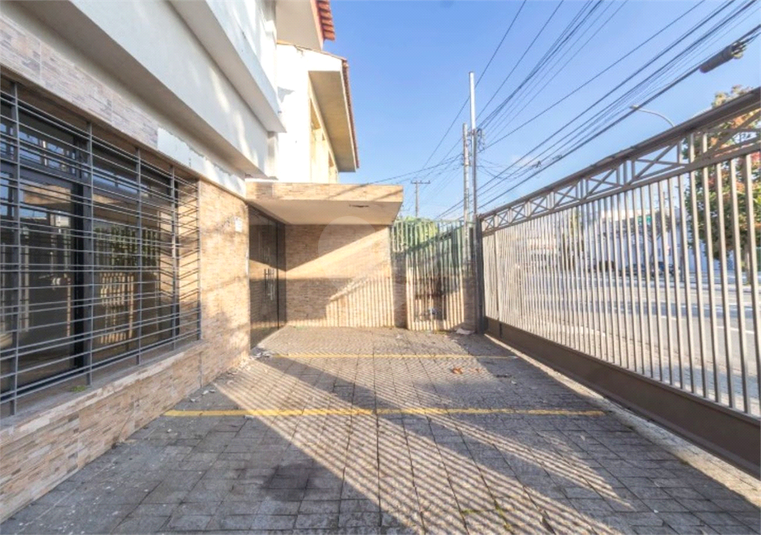 Foto REO1133831