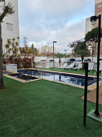Foto REO1133835
