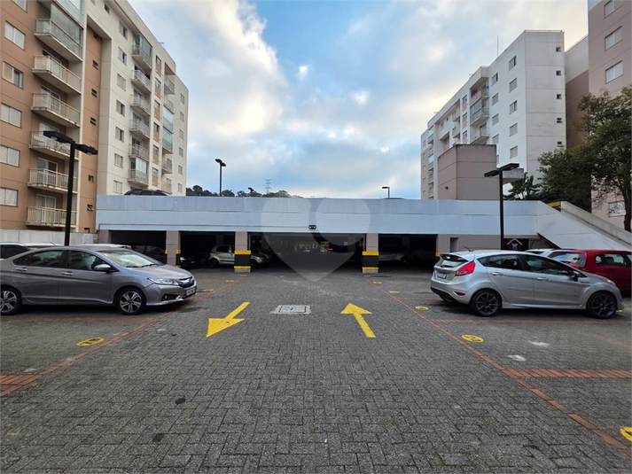 Foto REO1133835