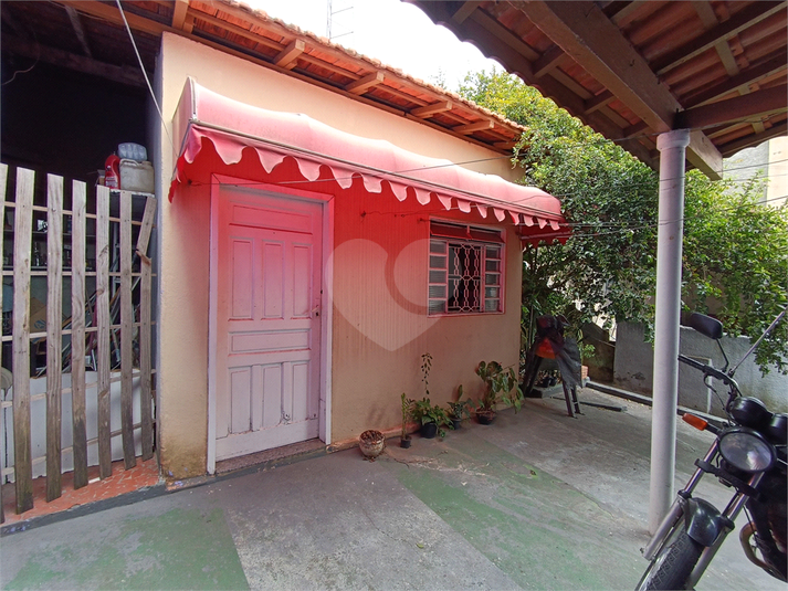 Foto REO1133843