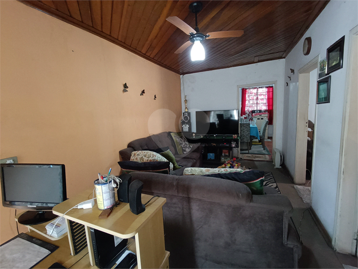 Foto REO1133843
