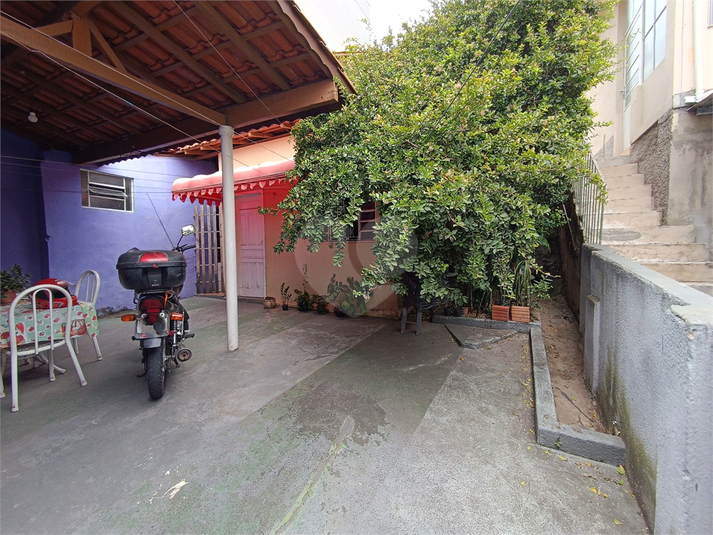 Foto REO1133843