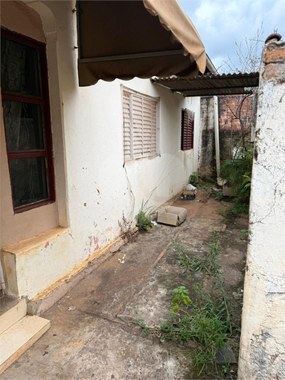 Foto REO1133844
